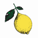 Flower Child logo